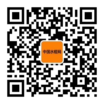 qrcode_for_gh_520a5d439f8d_344 (2)